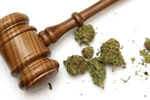 Medical Marijuana criminal defense
