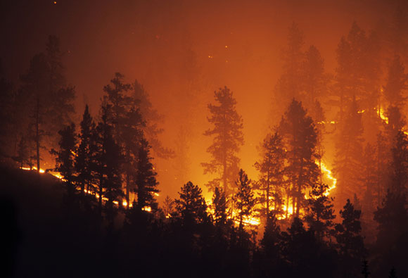 California Wildfire Liability